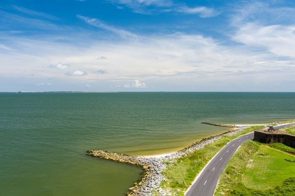 Quels sont les meilleurs spots pour observer les dauphins en liberté en Nouvelle-Zélande ?