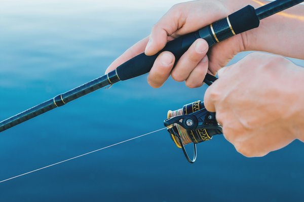 Comment choisir la meilleure canne voyage exotique en 2024 ?